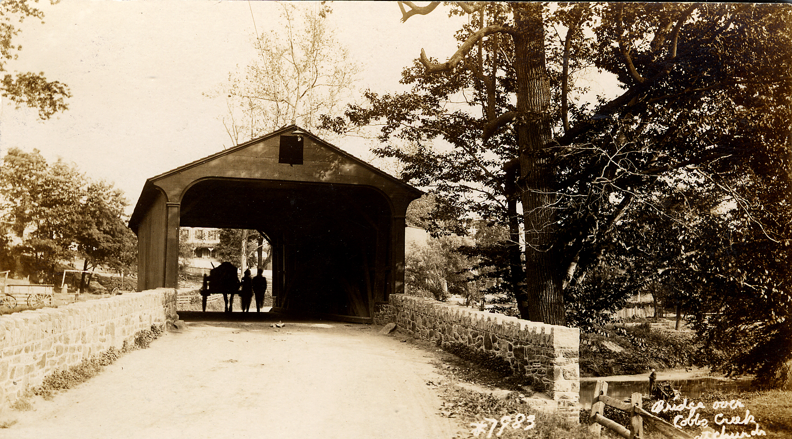 thirty-seventh slide